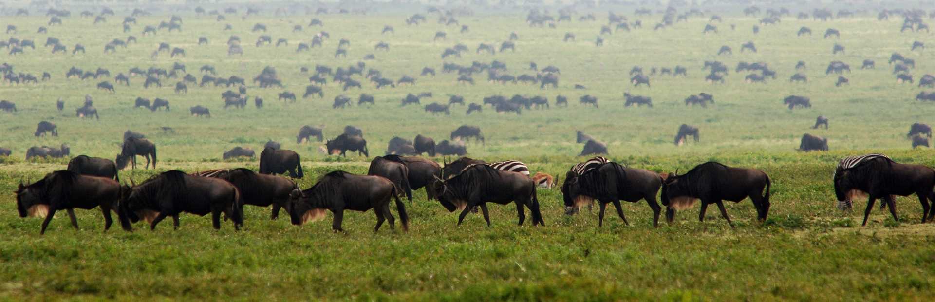 Serengeti National Park
